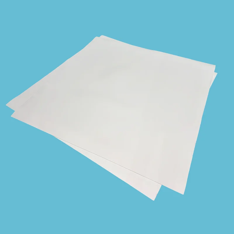 Feuille de PTFE expansé